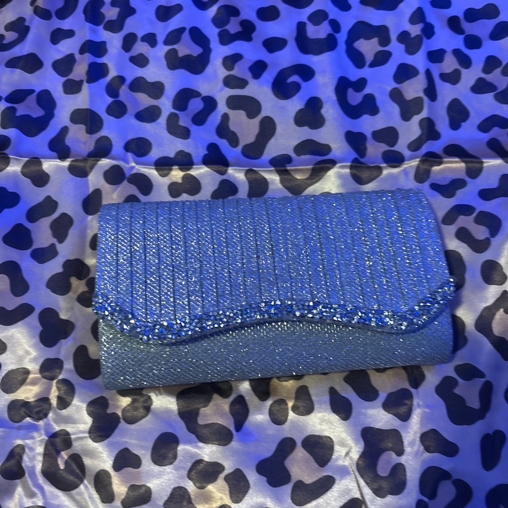 Elegant Sliver Clutch